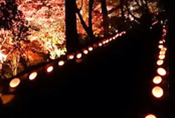 東郷公園