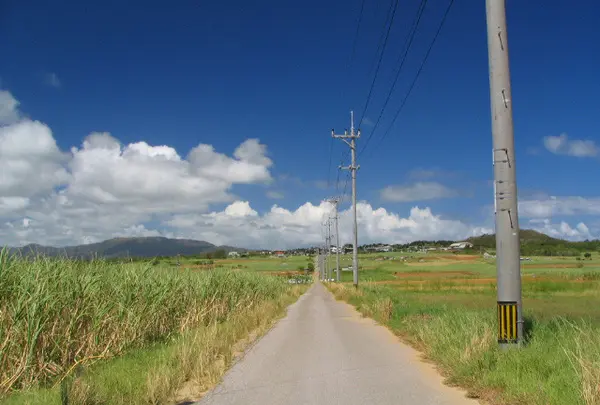 シュガーロード