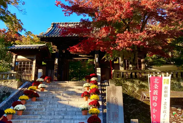 修禅寺の写真・動画_image_1241158