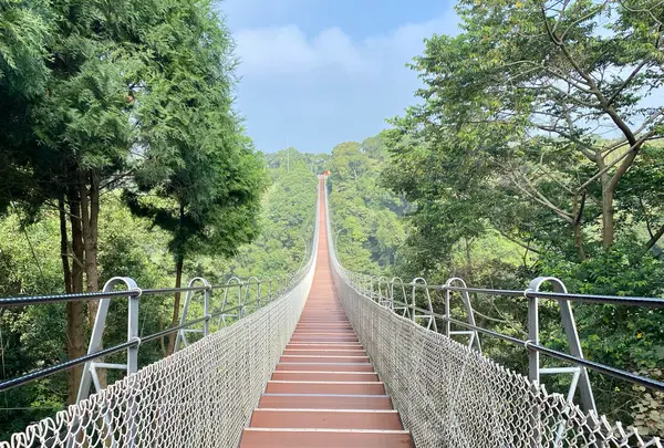 猴探井 天空之橋