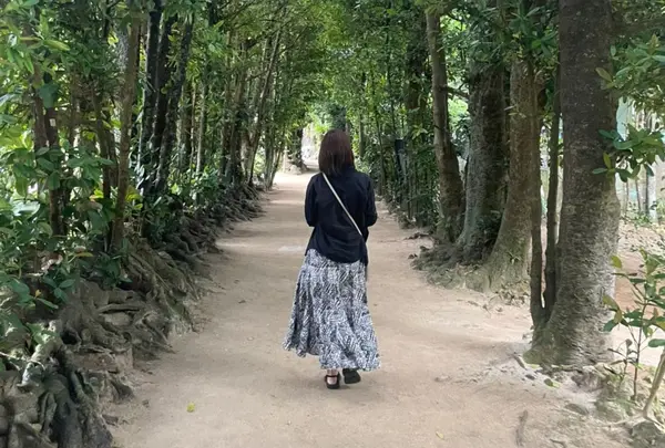 備瀬フク木並木通りの写真・動画_image_1244132