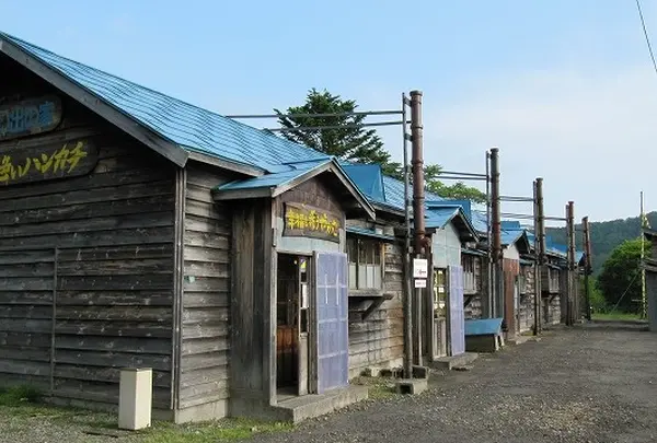幸福の黄色いハンカチ 想い出ひろば
