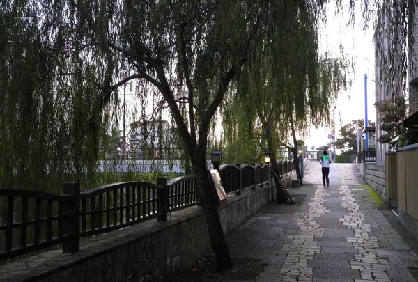 川沿いの散歩道