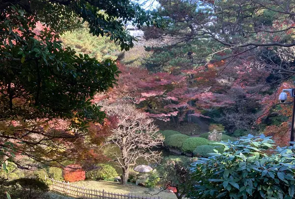 東京都庭園美術館の写真・動画_image_1252439