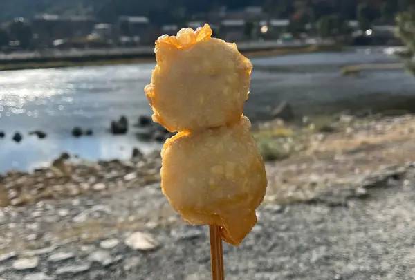 京都嵐山湯葉チーズ本舗