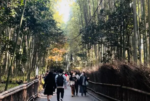 竹林の小径