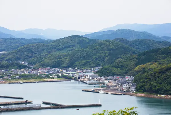 日南市の写真・動画_image_1257989
