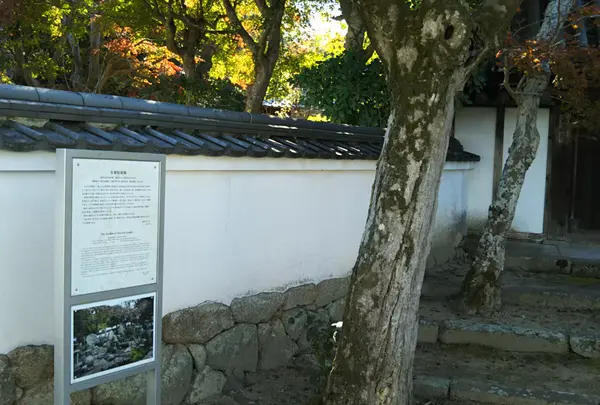安養院の写真・動画_image_1262751