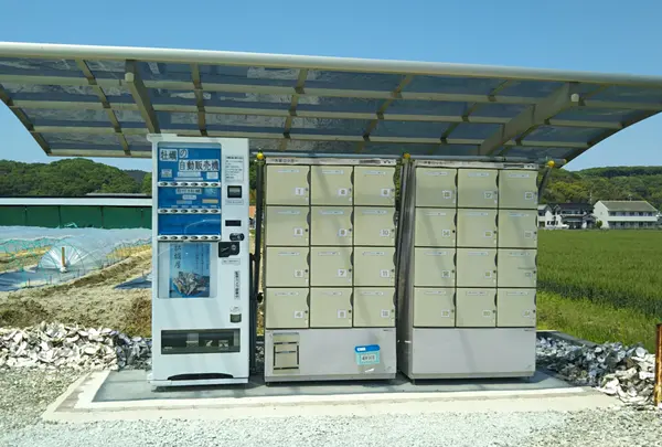牡蠣の自動販売機 牡蠣屋の写真・動画_image_1263360
