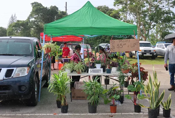Dededo Flea market（デデドの朝市）の写真・動画_image_1263646