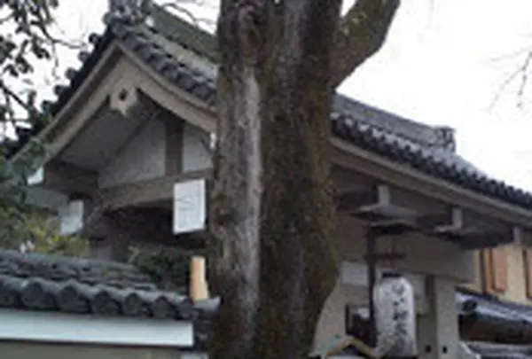 神泉苑