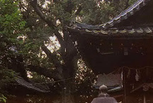 武信稲荷神社
