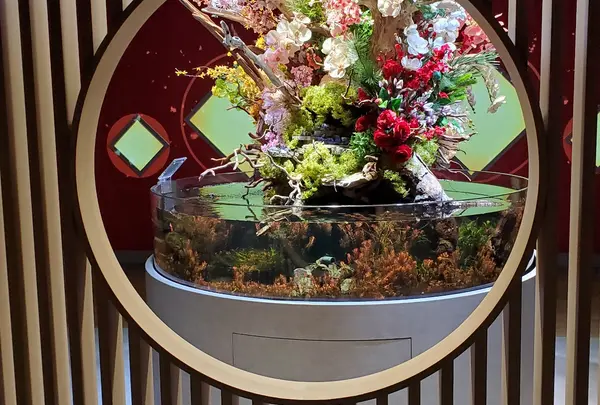 スマートアクアリウム静岡