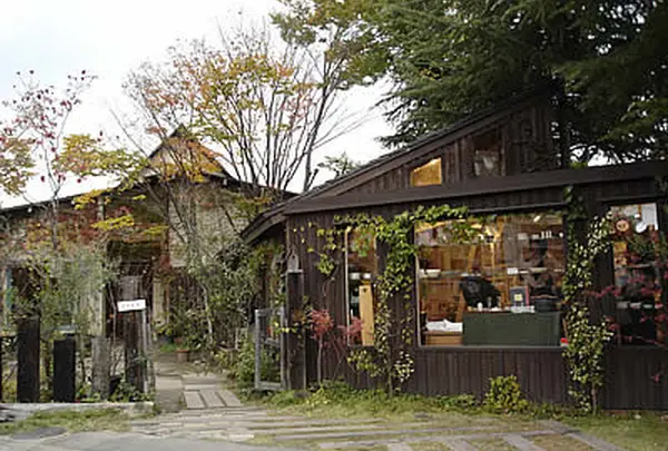 くるみの木 ZAKKA cage