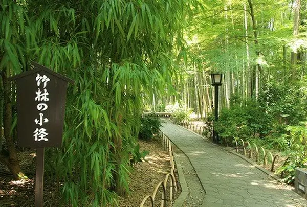 竹林の小径