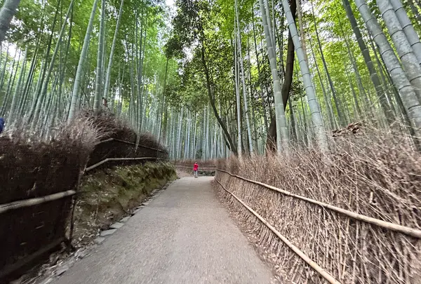 天龍寺