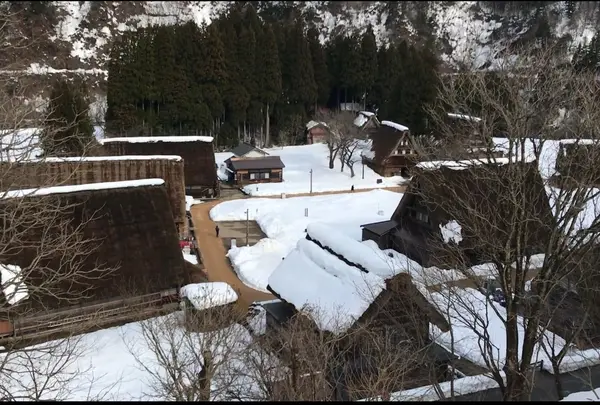 菅沼合掌造り集落の写真・動画_image_1290383