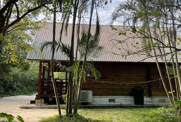 島の休日 ヨイサーマーの写真・動画_image_1293493