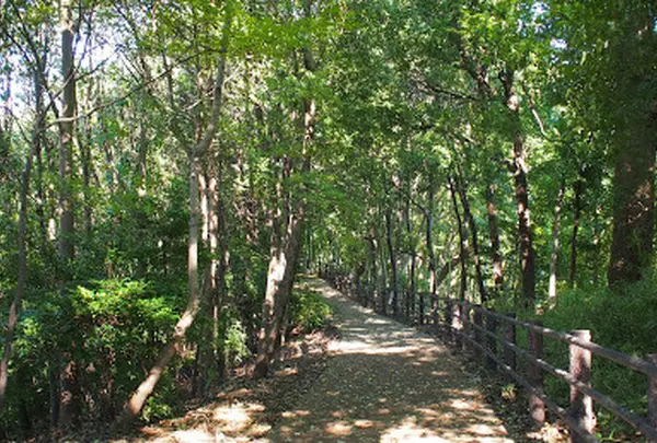 都筑中央公園