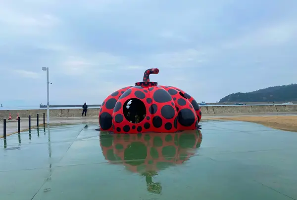 赤かぼちゃ