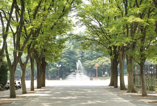 世田谷公園