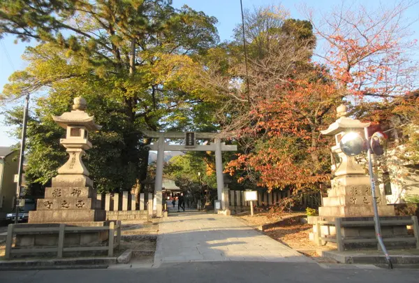 弓弦羽神社の写真・動画_image_1301690