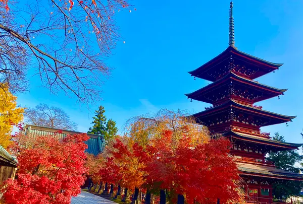 最勝院五重塔