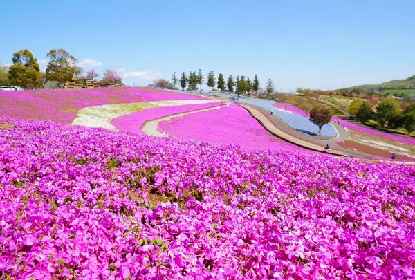 太田市北部運動公園