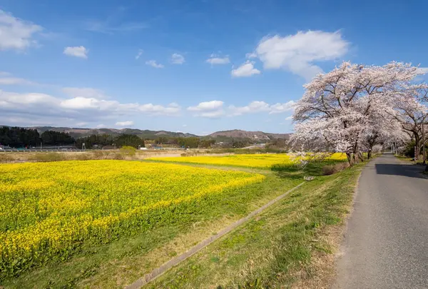 ✔️川渡大橋河川公園