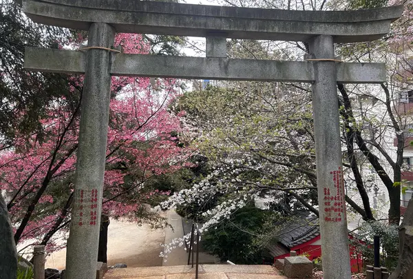 駒込富士神社
