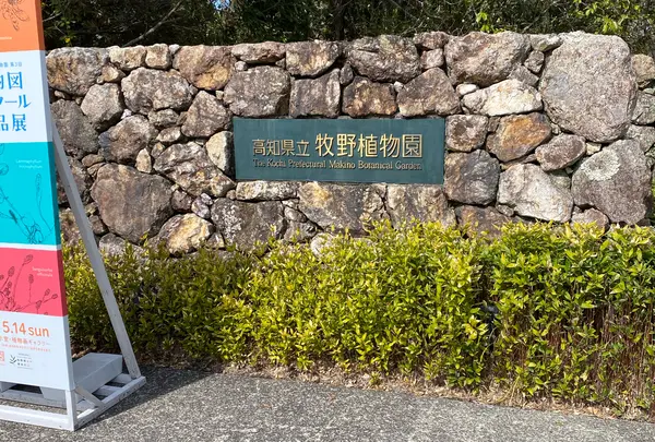 牧野植物園