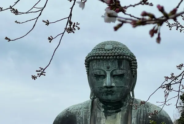 鎌倉大仏殿高徳院