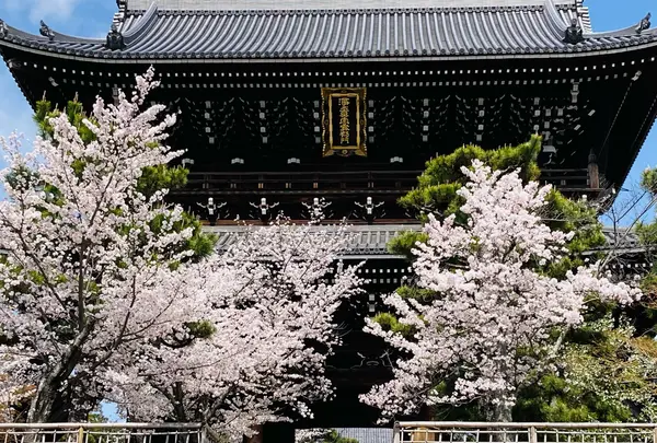 金戒光明寺