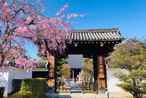 四海唱導具足山 妙顕寺