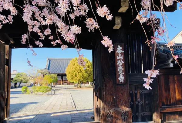 北龍華具足山 妙覚寺
