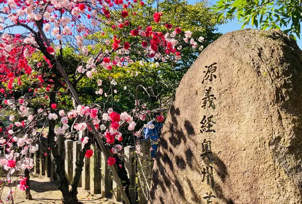 首途八幡宮(かどではちまんぐう)