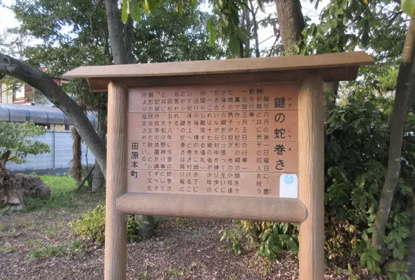 鍵の蛇巻きの写真・動画_image_1323215