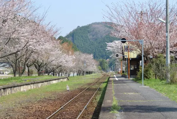 月田駅の写真・動画_image_132342
