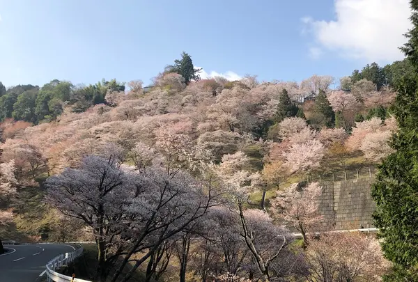 如意輪寺駐車場
