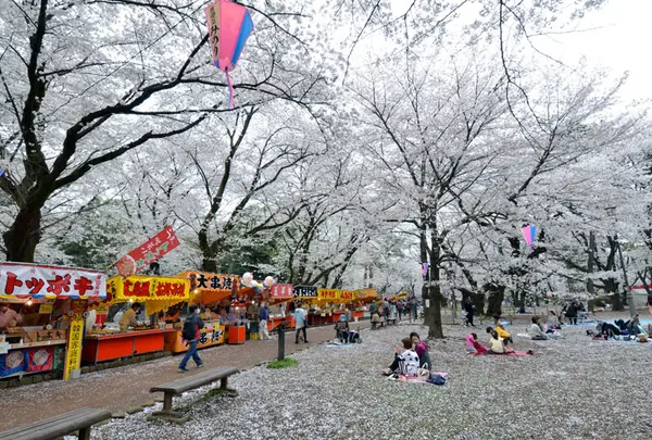 大宮公園