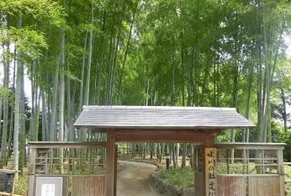さいたま市役所 氷川の杜文化館