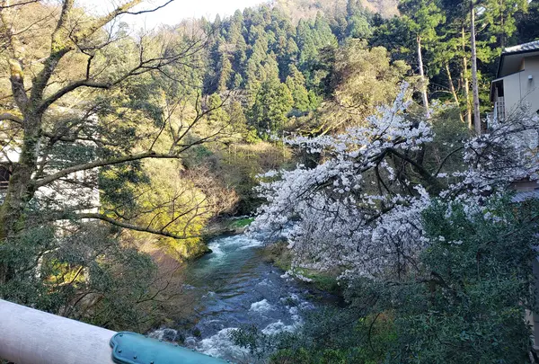 山中温泉