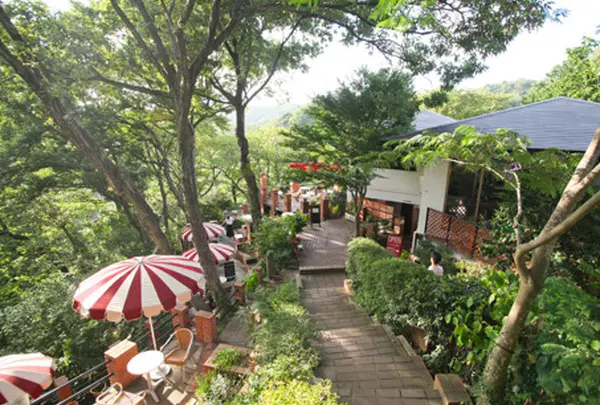 CafeTerrace樹ガーデン