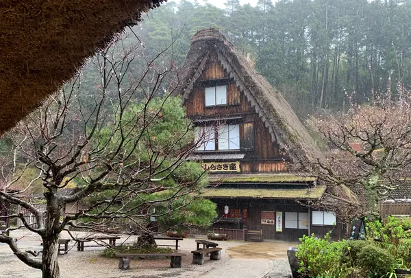 下呂温泉合掌村の写真・動画_image_1326941