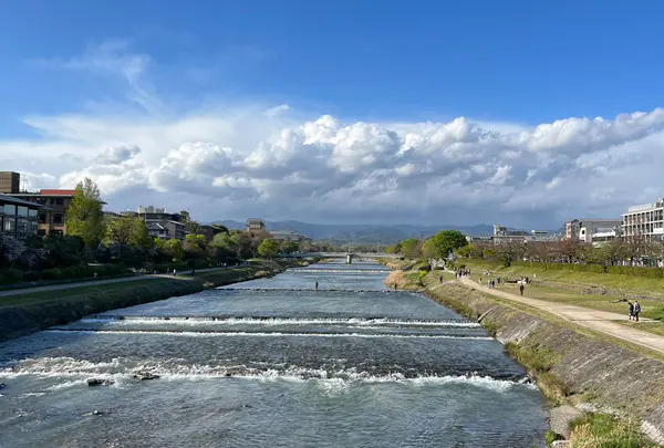 鴨川の写真・動画_image_1328198