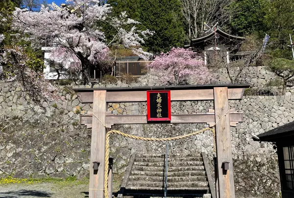 夫婦木神社
