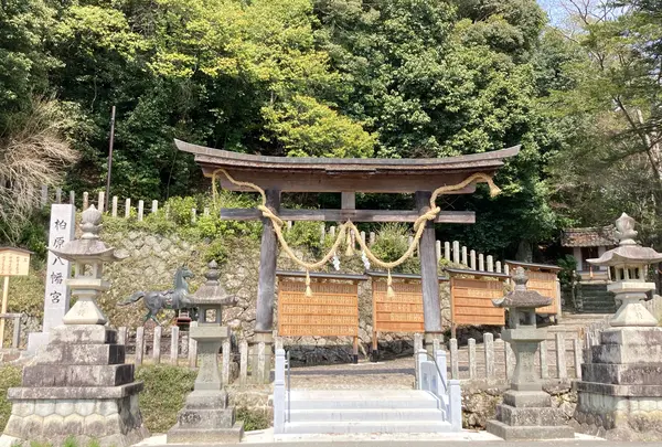 柏原八幡宮の写真・動画_image_1329161