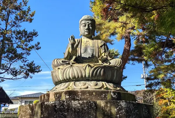 甲斐善光寺 大仏