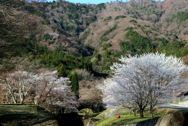 霞間ケ渓公園