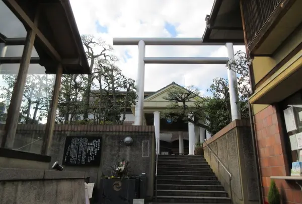 飛行神社の写真・動画_image_1335262